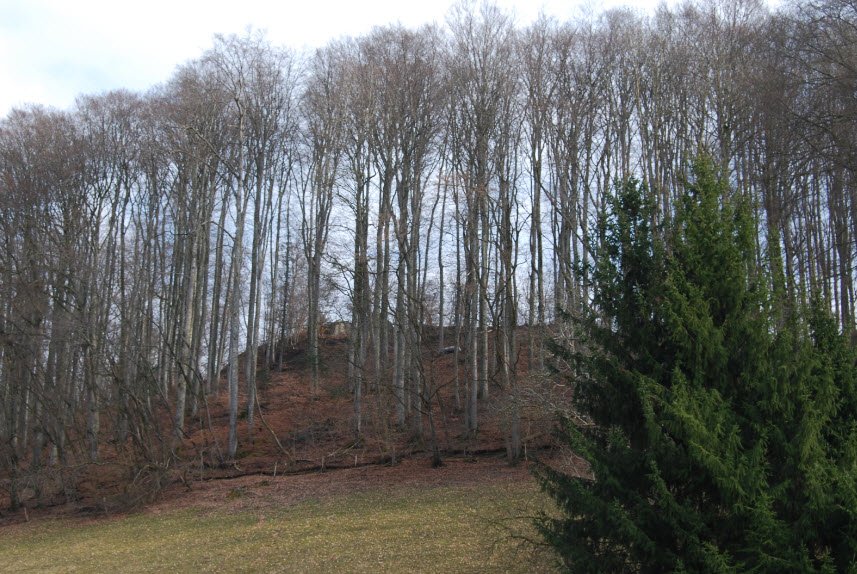 Burgruine Grünenberg, Melchnau, Switzerland, Switzerland